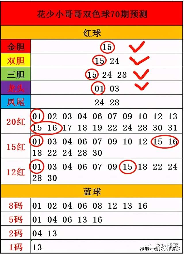 澳门天下彩免费资料大全正版-精选解析与落实的详细结果